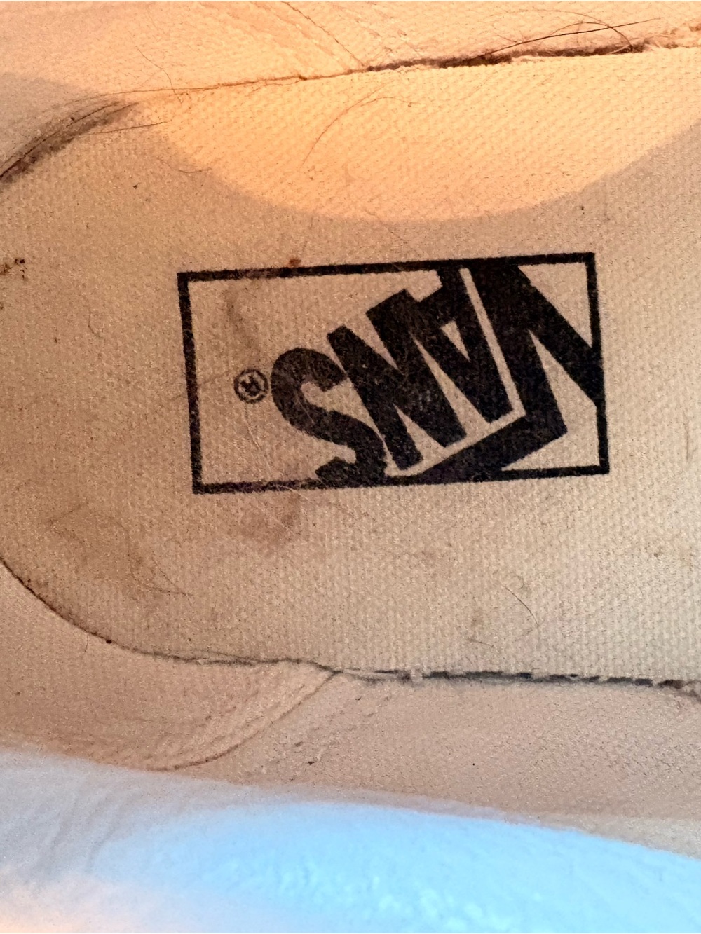Vans - Picture 9 of 9